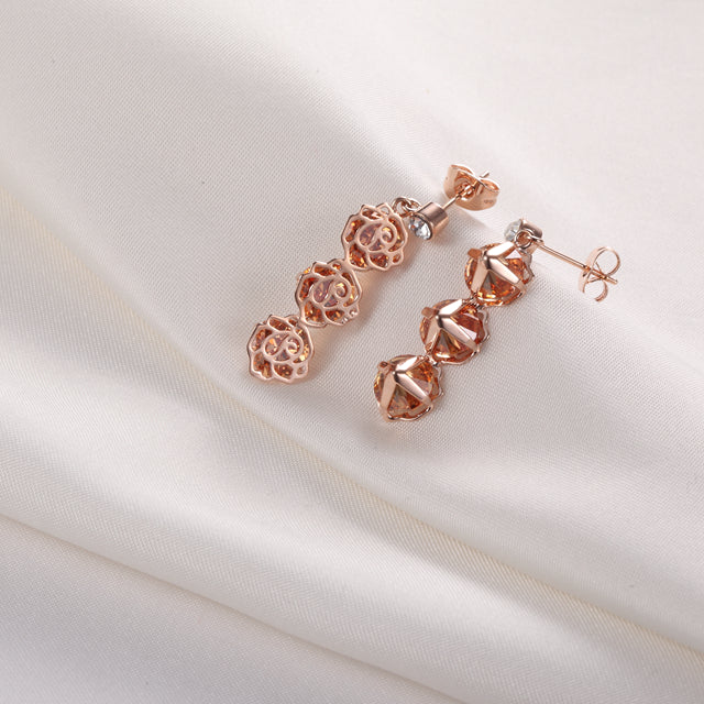 C209   Fashion Earrings