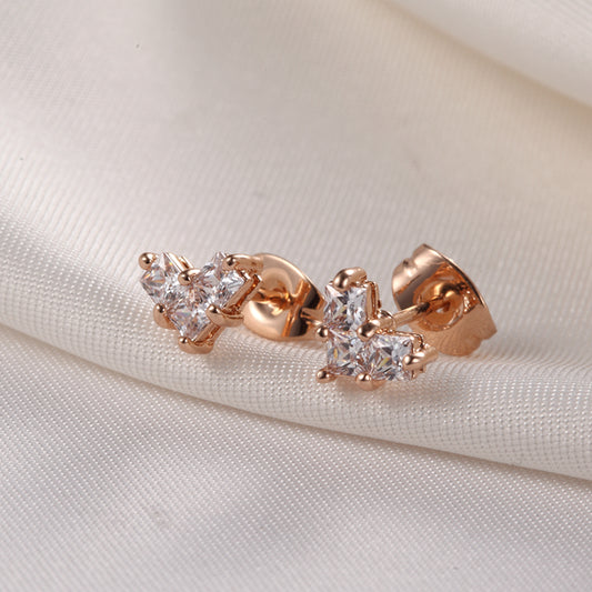 C230   Fashion Earrings