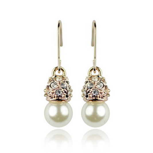 C1829   Fashion Earrings