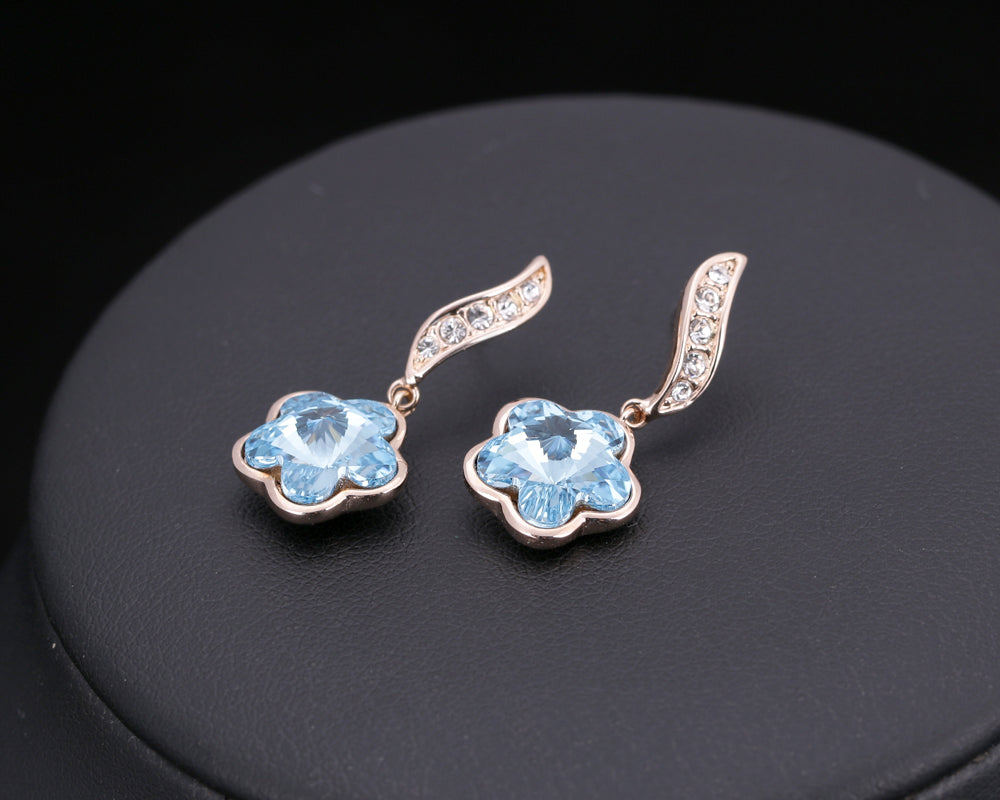 C902   Fashion Earrings