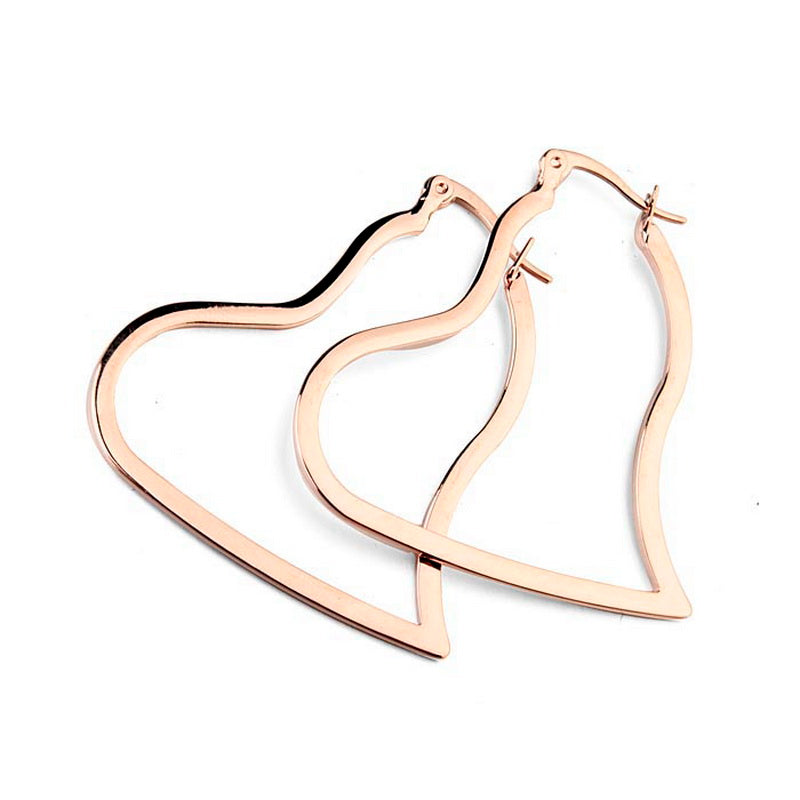 C715   Fashion Earrings