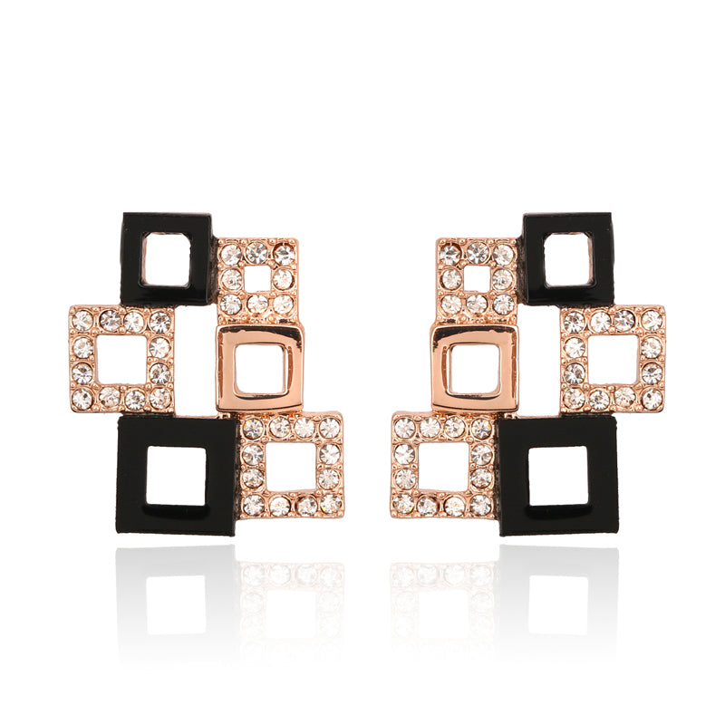 C943   Fashion Earrings