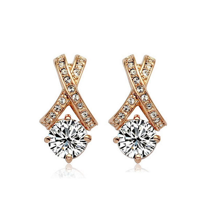 C737   Fashion Earrings