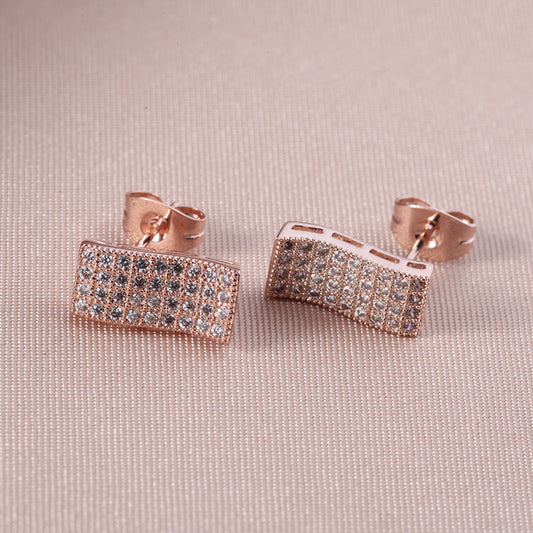 C248   Fashion Earrings