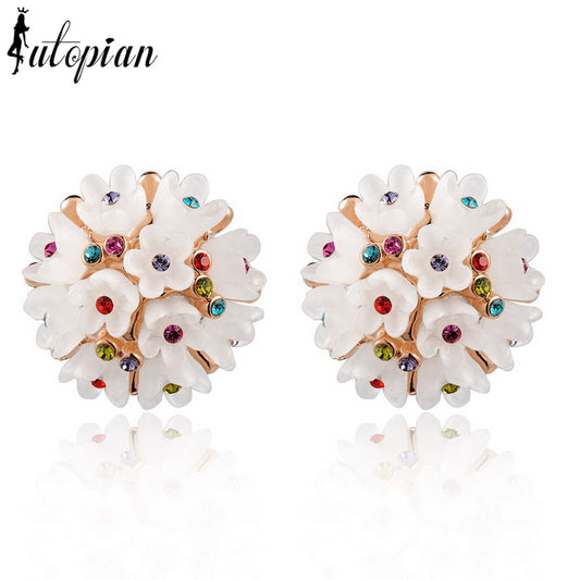 C1001   Fashion Earrings