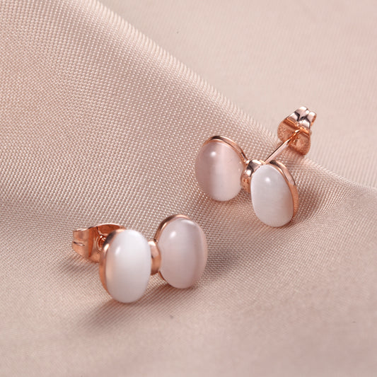 C218   Fashion Earrings