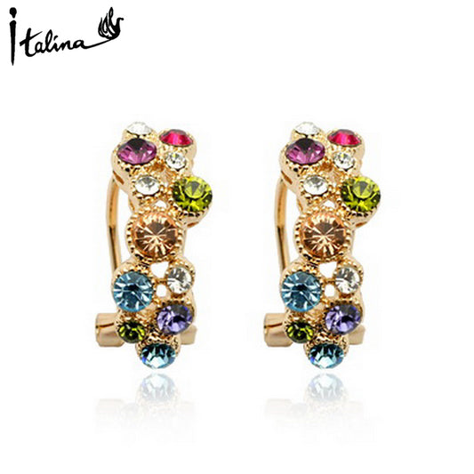 C618   Fashion Earrings