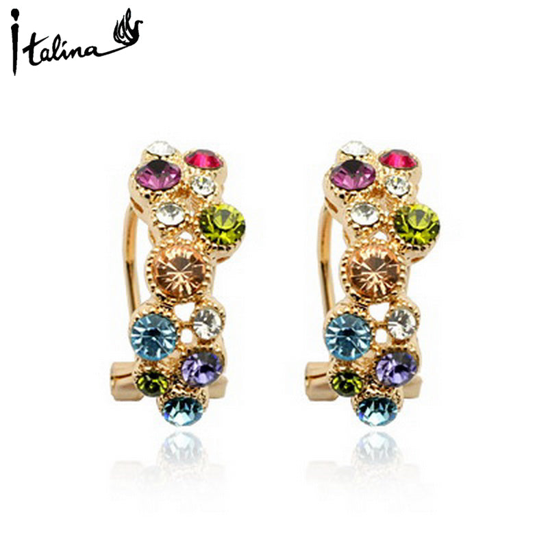 C3041   Fashion Earrings