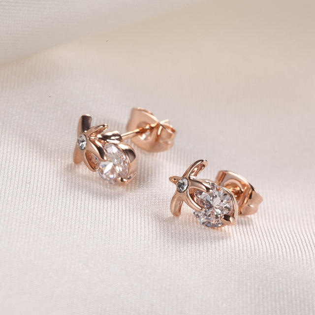 C214   Fashion Earrings